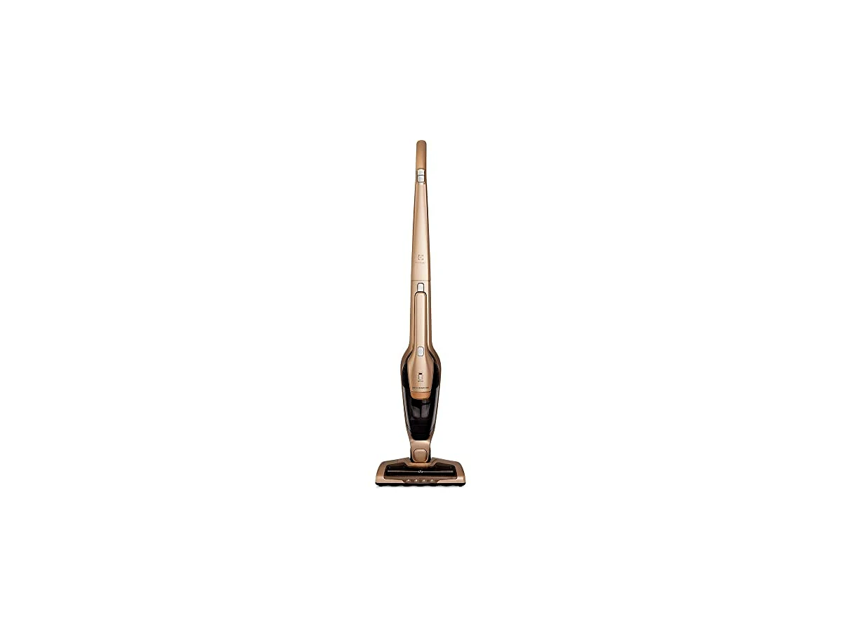 Electrolux Ergorapido ERG26 — dourado, bivolt, 2 em 1, com bocal Pet Care