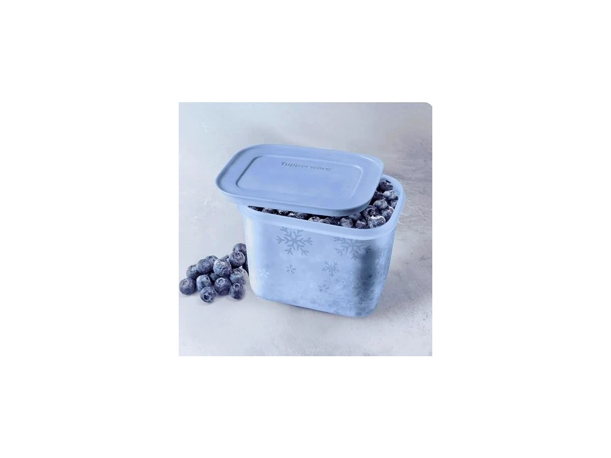 Pote Hermético Tupperware Freezer Line Alto Gelo 1,1L (804561)